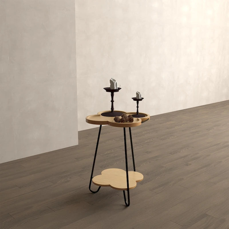 Table basse à double couche créative en forme de pétale, table d'appoint ronde avec espace de rangement multifonctionnel, pour salon